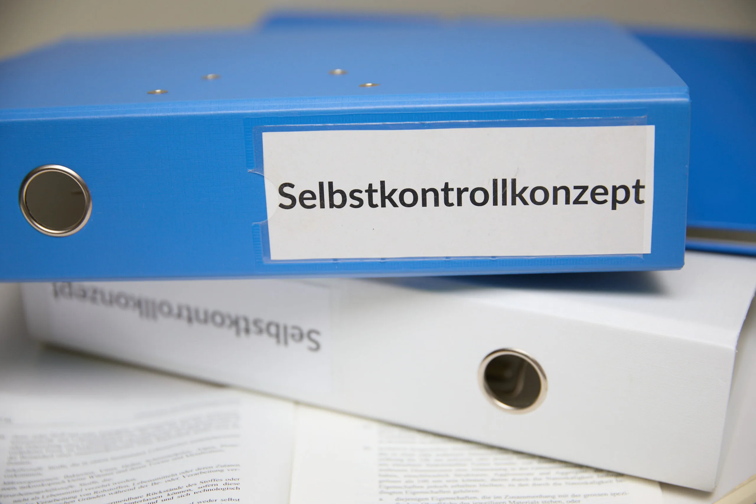 Blog Selbstkontrollkonzept: So sparst du Aufwand und Kosten durch clevere Planung